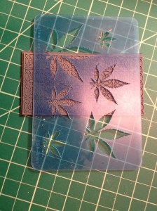 Figure 1. A raised texture on a smooth background.